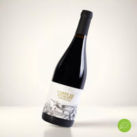 Campo de Aviación, Cabernet Sauvignon 2022