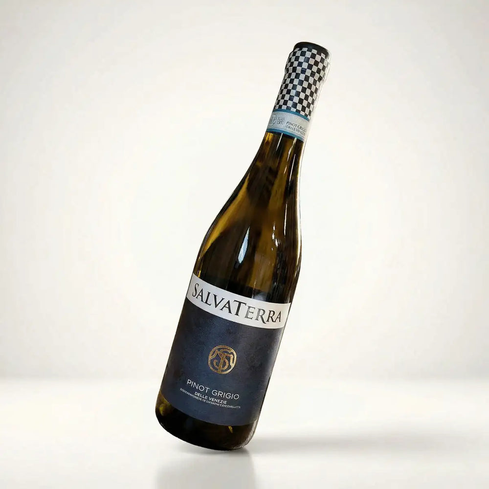 Salvaterra, Pinot Grigio DOC 2024